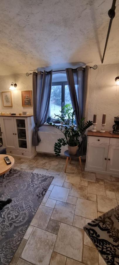 Monteur-Ferienwohnung Ot Naundorf Naundorf  Buitenkant foto