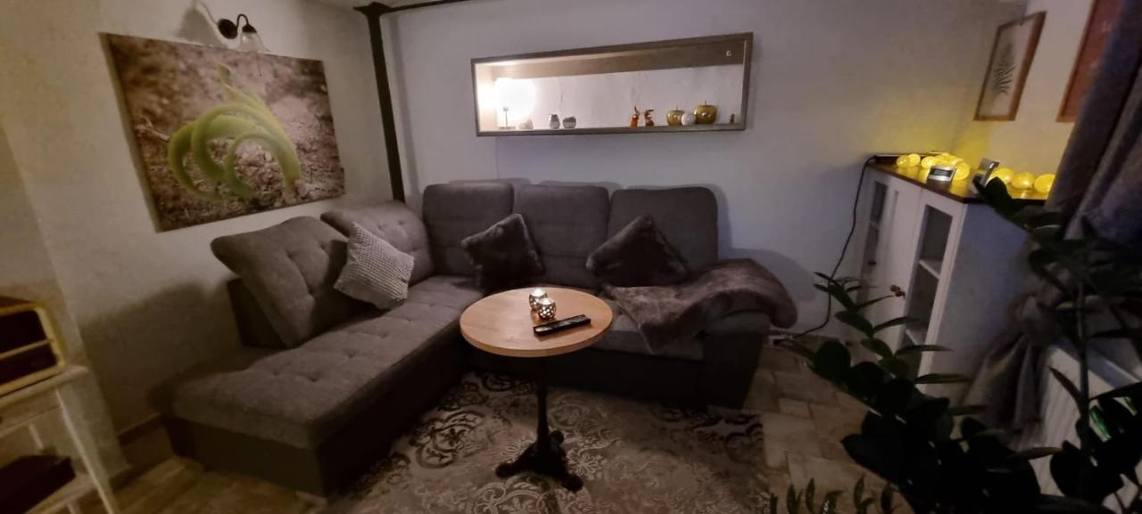 Monteur-Ferienwohnung Ot Naundorf Naundorf  Buitenkant foto