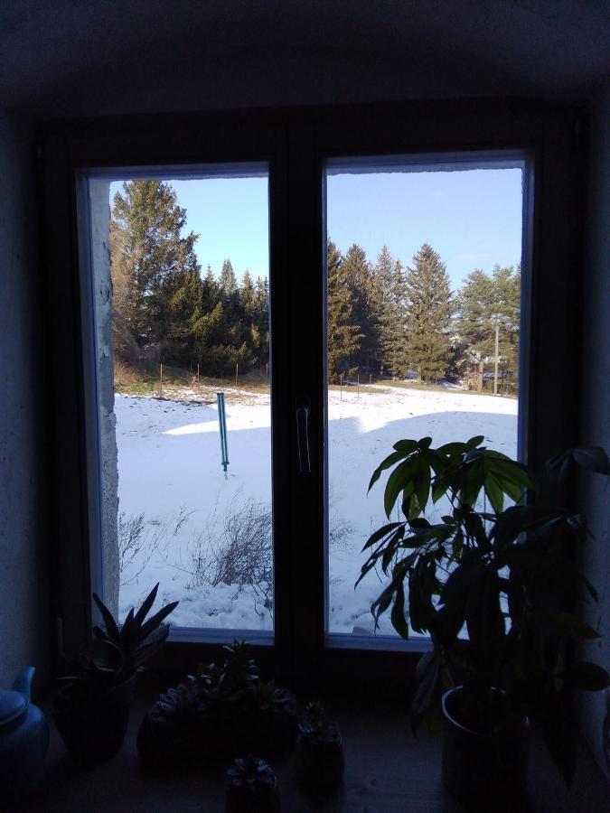 Monteur-Ferienwohnung Ot Naundorf Naundorf  Buitenkant foto