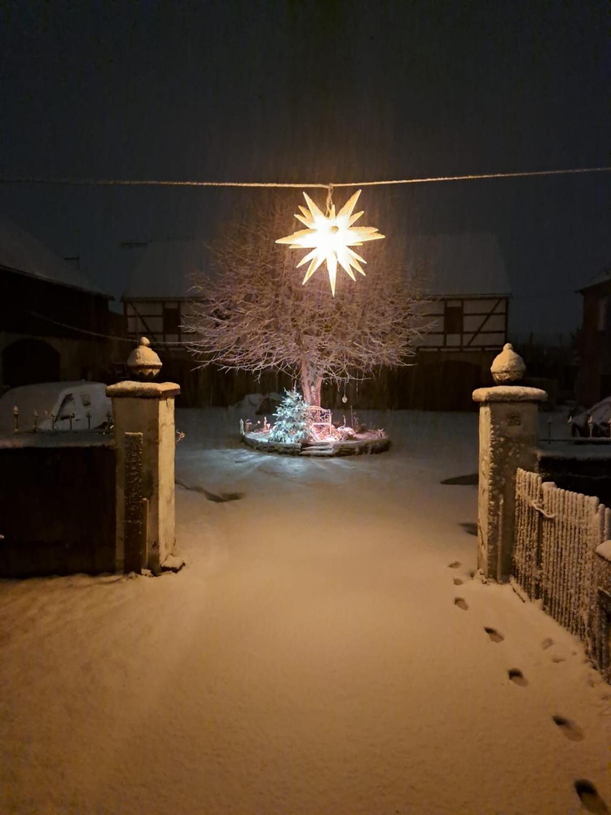 Monteur-Ferienwohnung Ot Naundorf Naundorf  Buitenkant foto